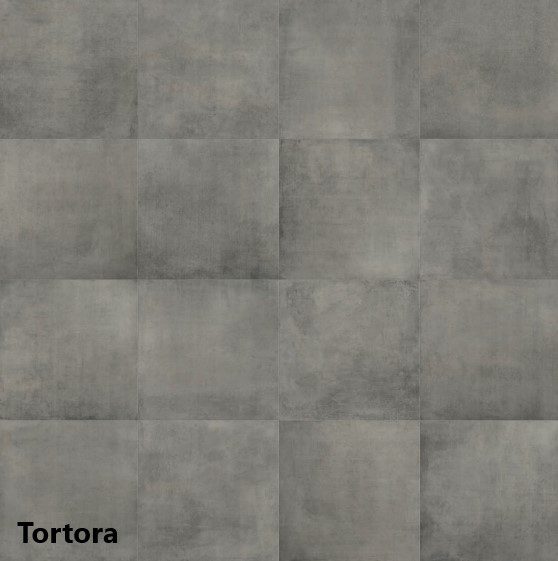 kleur Tortora