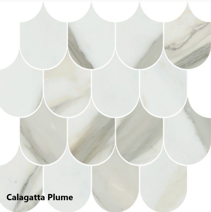 Calagatta Gold Plume