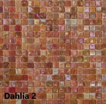 Kleur Dahlia 2
