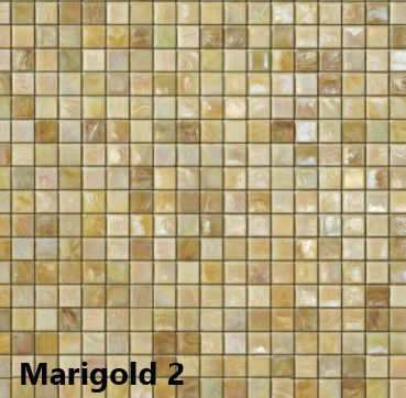 Kleur Marigold 2