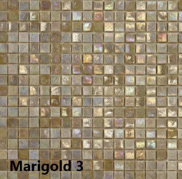 Kleur Marigold 3
