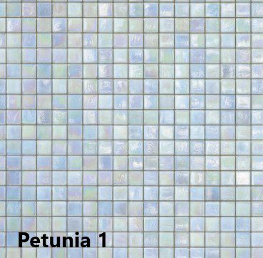 Kleur Petunia 1