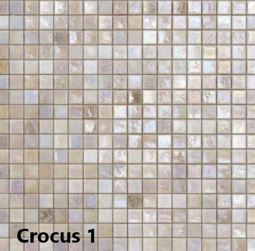 kleur Crocus 1