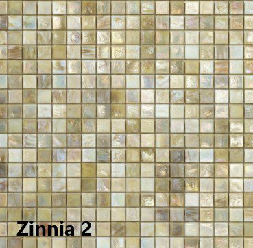 kleur Zinnia 2