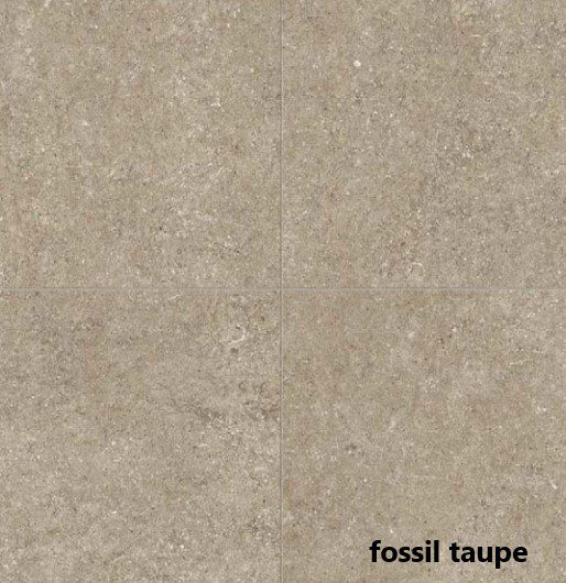 fossil taupe